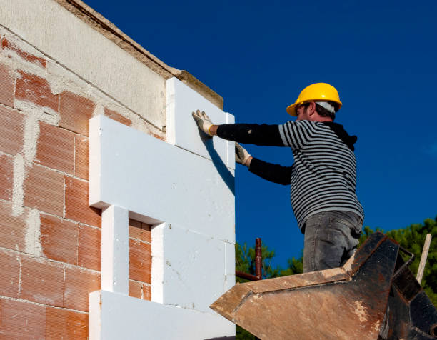 Best Insulation for New Construction  in Oskaloosa, KS